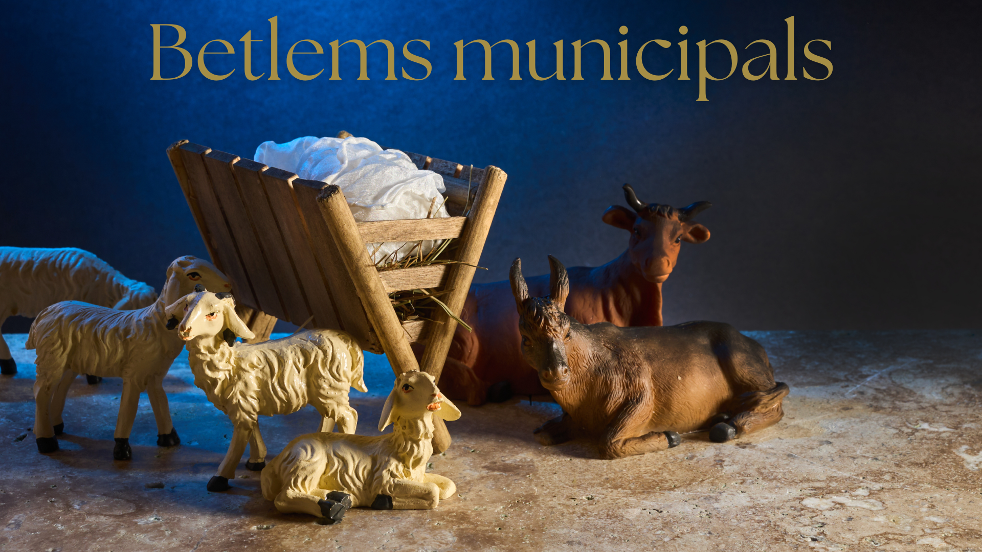 Polsa i accedeix a la informació dels betlems municipals